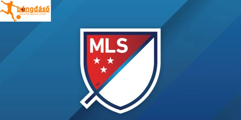 Nhà nghề Mỹ là gì?